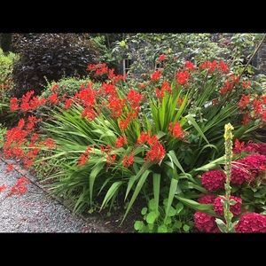 Meet your Posher, Paula